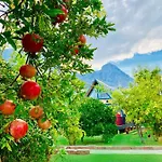 Hotel Garden And Antália