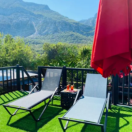 Garden And