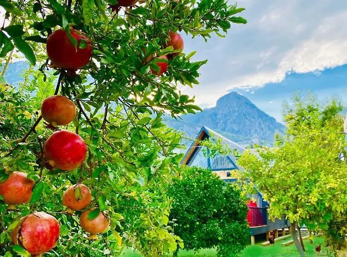 Hotel Garden And Antalia
