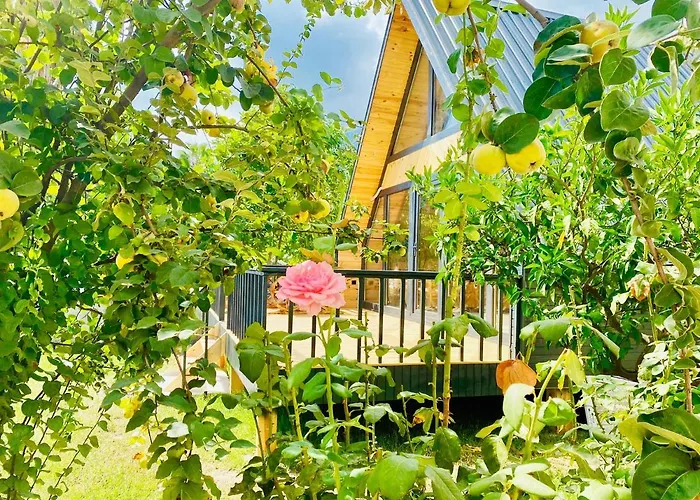 Hotel Garden And *