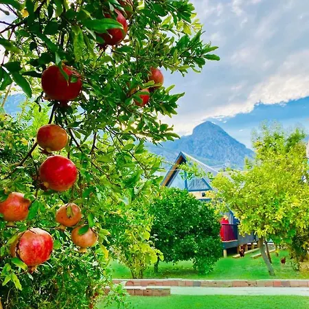 Hotel Garden Antalia