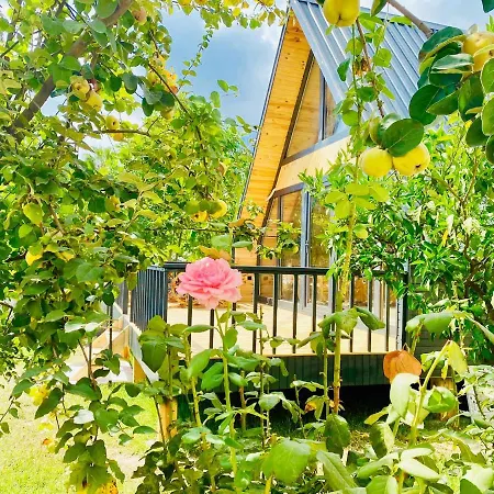 Hotel Garden *