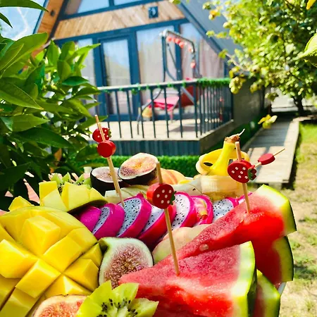 Hotel Garden Antalya